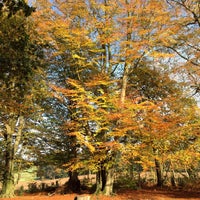 Photo taken at Limpsfield Common by Dmytro G. on 10/31/2015