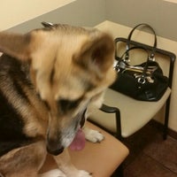 rock creek animal hospital