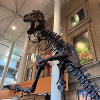 Foto scattata a Denver Museum of Nature and Science da Michael A. il 8/18/2022