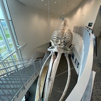 Photo taken at University of Alaska Museum of the North by J.P. C. on 6/19/2022