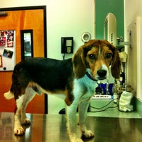 Photo taken at Banfield Pet Hospital by Cristian on 6/21/2013