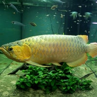 Photo taken at Wu Hu Aquarium by Wanda W. on 12/5/2012
