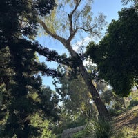 Photo taken at UCLA Mildred E. Mathias Botanical Garden by Aaron M. on 10/9/2023