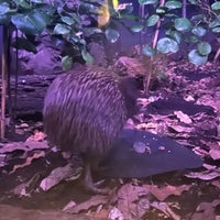 4/16/2023 tarihinde Alice Y.ziyaretçi tarafından Auckland Zoo'de çekilen fotoğraf