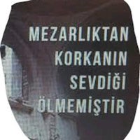 Timeline Photos