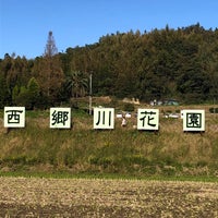 西郷川花園 Field In 福津市