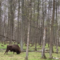 Photo taken at Приокско-Террасный заповедник by Alexander O. on 5/6/2021