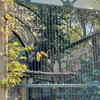 Photo taken at Jardim Zoológico de Lisboa by Alexander O. on 2/5/2023