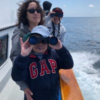 Снимок сделан в Dana Wharf Whale Watching пользователем Martin S. 4/16/2019