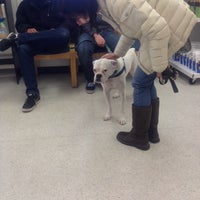 vca almaden animal hospital