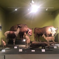Photo taken at Naturkundemuseum by Eric H. on 6/15/2017