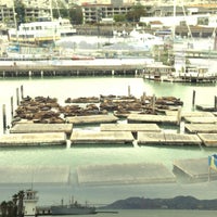 Photo taken at Sea Lions by Robert H. on 5/6/2013