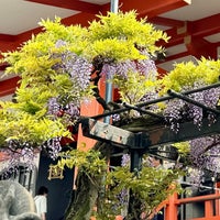 Photo taken at Zenkoku-ji Temple by Naoko F. on 4/20/2024