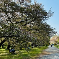 Photo taken at Koishikawa Botanical Gardens by Naoko F. on 4/14/2024