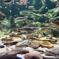 รูปภาพถ่ายที่ North Carolina Aquarium at Pine Knoll Shores โดย Sham K. เมื่อ 8/20/2023