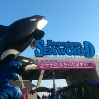 鴨川シーワールド 東町1464 18