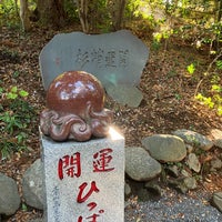 Photo taken at Takosugi (Octopus Cedar) by Anya on 11/17/2023