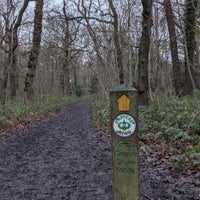 Photo taken at Oxleas Wood by Alan P. on 1/2/2021