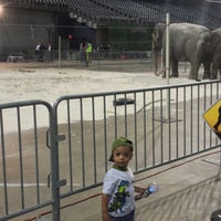 Photo taken at Ringling Brothers Circus by Terry F. on 7/18/2014