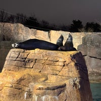 Photo taken at Indianapolis Zoo by Amirreza A. on 12/30/2023