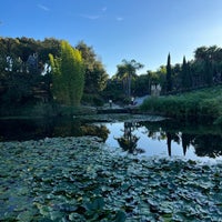 Photo taken at Buddha Eden - Jardim da Paz by Cass on 11/13/2023