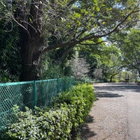 Photo taken at Tamagawadai Park by オレンヂ on 10/7/2023