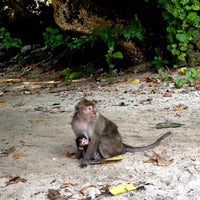 Taman Wisata Dan Cagar Alam Pangandaran Nature Preserve