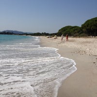 Plage De Palombaggia 27 Tips