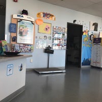 vca black mountain animal hospital