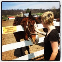 Foto scattata a Ryerss Farm for Aged Equines da Matthew John M. il 4/13/2014