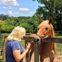 Foto diambil di Ryerss Farm for Aged Equines oleh Matthew John M. pada 8/14/2015