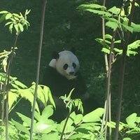 Foto scattata a Smithsonian’s National Zoo da michael j. il 5/22/2015