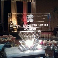 houston sonesta royal hotel