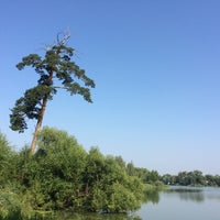Photo taken at Серебряный пруд by Юлия К. on 7/30/2016