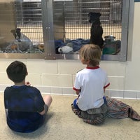 Photo taken at Humane Society of Missouri by Angie M. on 6/5/2018