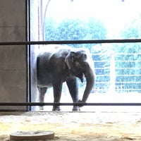 Снимок сделан в Smithsonian’s National Zoo пользователем Shawn C. 1/17/2016