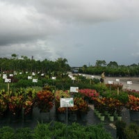 Mariposa Nursery Lakewood Ranch Bradenton Fl Photo Taken At Mariposa Nursery By Alexander K On 8 16 2017