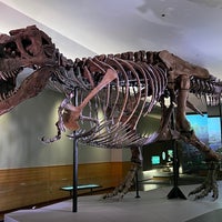 Photo taken at Sue The T. Rex by Josh Z. on 8/2/2022