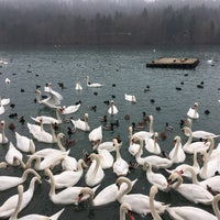 Photo taken at Zbiljsko jezero by Anna S. on 12/20/2016