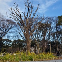 Photo taken at Shirakawa Park by Mandyzenana F. on 1/11/2024
