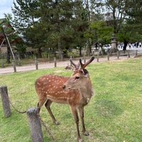 Photo taken at Nara Park by Daniel O. on 5/6/2024