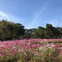 Photo taken at 国営木曽三川公園 中央水郷地区 by だんごむし on 10/22/2018