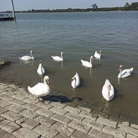 Photo taken at Дунай и Сава. Слияние. by Kufzuk on 9/11/2023