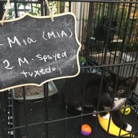 Photo taken at Muddy Paws by Ivana N. on 7/15/2018