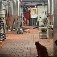 8/25/2023 tarihinde Mel C.ziyaretçi tarafından Rockaway Brewing Co.'de çekilen fotoğraf