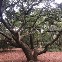 Photo taken at First Landing State Park by Charlene S. on 6/7/2021