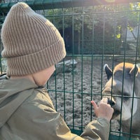Photo taken at Riga Zoo by K on 10/22/2022