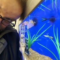 petsmart lawrence