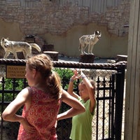6/13/2014에 Wendy T.님이 Wolf Valley - Busch Gardens에서 찍은 사진