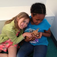 Photo taken at Petland Kennesaw by Mack E. on 4/6/2013